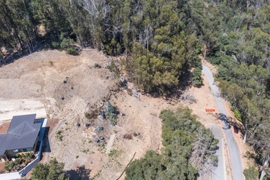 Exclusive Resort Living: Lot with Home Plans! Start with - photo 14