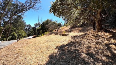 Exclusive Resort Living: Lot with Home Plans! Start with - photo 15