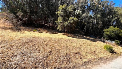 Exclusive Resort Living: Lot with Home Plans! Start with - photo 16