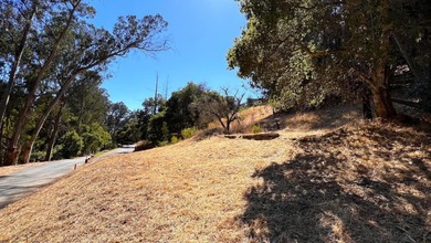 Exclusive Resort Living: Lot with Home Plans! Start with - photo 18