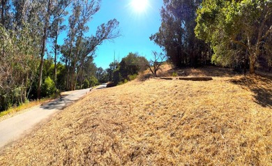 Exclusive Resort Living: Lot with Home Plans! Start with - photo 19