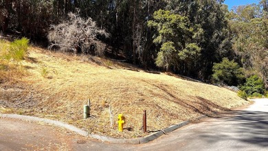 Exclusive Resort Living: Lot with Home Plans! Start with - photo 20