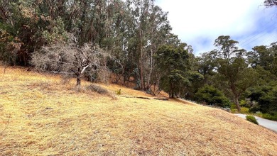 Exclusive Resort Living: Lot with Home Plans! Start with - photo 23