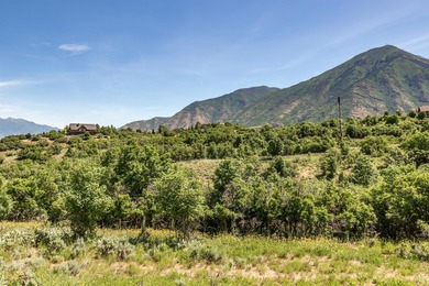 Utah Lake Lot For Sale in Woodland Hills Utah