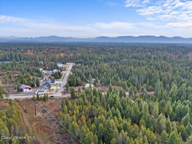 Nice buildable level one-acre for home and shop. In area of nice - photo 11