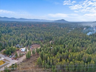 Nice buildable level one-acre for home and shop. In area of nice - photo 12