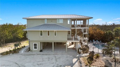 Amid the untouched landscapes of Sanibel Island, where nature