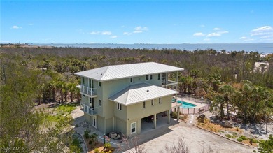 Amid the untouched landscapes of Sanibel Island, where nature