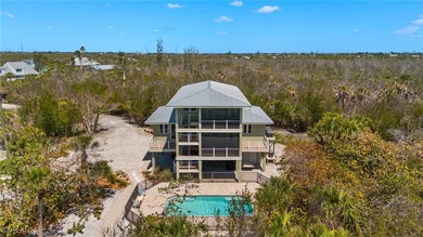 Amid the untouched landscapes of Sanibel Island, where nature