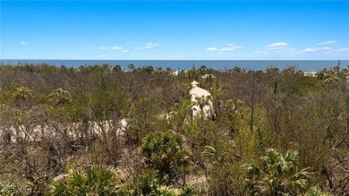 Amid the untouched landscapes of Sanibel Island, where nature