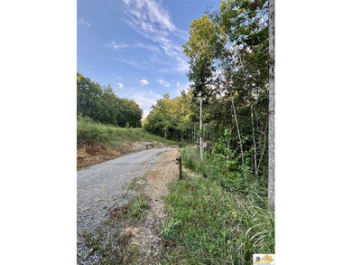 MOTIVATED!!! Make an offer!!! 19.29 Acres of Wooded Paradise - - photo 11