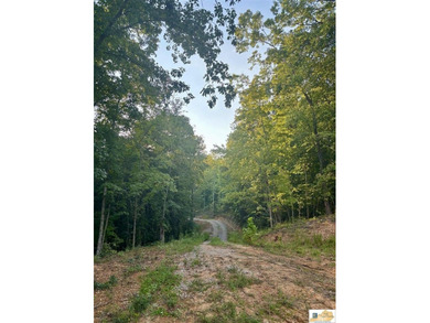 MOTIVATED!!! Make an offer!!! 19.29 Acres of Wooded Paradise - - photo 12