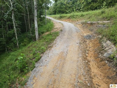 MOTIVATED!!! Make an offer!!! 19.29 Acres of Wooded Paradise - - photo 13