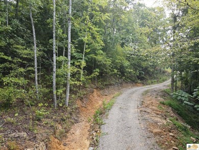 MOTIVATED!!! Make an offer!!! 19.29 Acres of Wooded Paradise - - photo 14