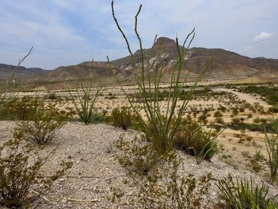 Over 3 acres in Comanche Mesa, Lajitas overlooking the famous - photo 15