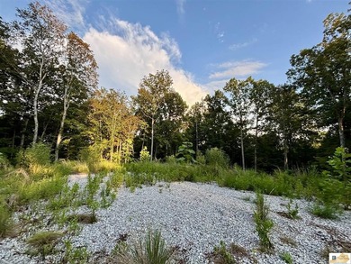 MOTIVATED!!! Make an offer!!! 19.29 Acres of Wooded Paradise - - photo 15
