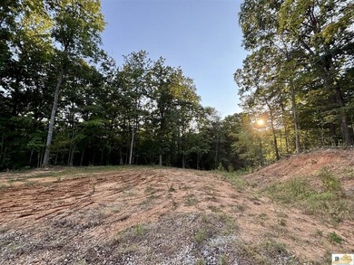 MOTIVATED!!! Make an offer!!! 19.29 Acres of Wooded Paradise - - photo 16