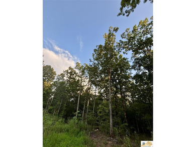 MOTIVATED!!! Make an offer!!! 19.29 Acres of Wooded Paradise - - photo 17