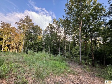 MOTIVATED!!! Make an offer!!! 19.29 Acres of Wooded Paradise - - photo 18
