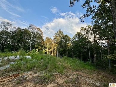 MOTIVATED!!! Make an offer!!! 19.29 Acres of Wooded Paradise - - photo 19