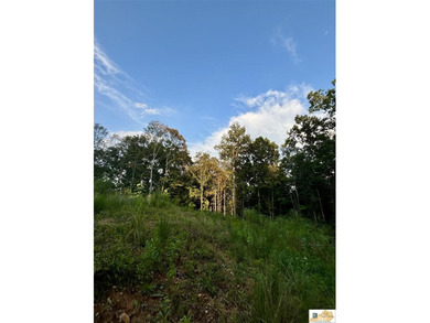 MOTIVATED!!! Make an offer!!! 19.29 Acres of Wooded Paradise - - photo 20