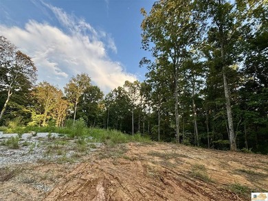 MOTIVATED!!! Make an offer!!! 19.29 Acres of Wooded Paradise - - photo 22