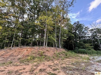 MOTIVATED!!! Make an offer!!! 19.29 Acres of Wooded Paradise - - photo 23