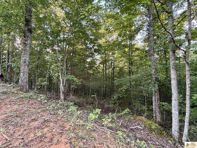 MOTIVATED!!! Make an offer!!! 19.29 Acres of Wooded Paradise - - photo 24