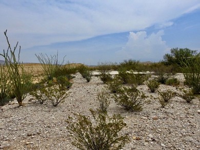Over 3 acres in Comanche Mesa, Lajitas overlooking the famous - photo 25