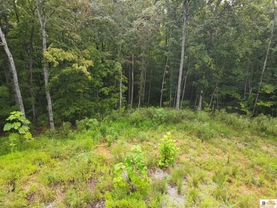 MOTIVATED!!! Make an offer!!! 19.29 Acres of Wooded Paradise - - photo 25