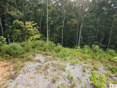 MOTIVATED!!! Make an offer!!! 19.29 Acres of Wooded Paradise - - photo 26