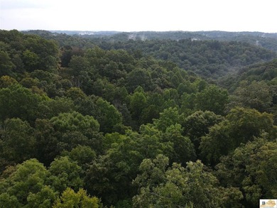 MOTIVATED!!! Make an offer!!! 19.29 Acres of Wooded Paradise - - photo 27