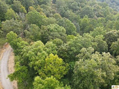 MOTIVATED!!! Make an offer!!! 19.29 Acres of Wooded Paradise - - photo 28
