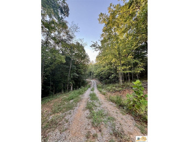 MOTIVATED!!! Make an offer!!! 19.29 Acres of Wooded Paradise - - photo 29