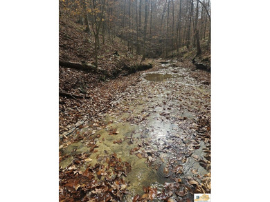 MOTIVATED!!! Make an offer!!! 19.29 Acres of Wooded Paradise - - photo 30