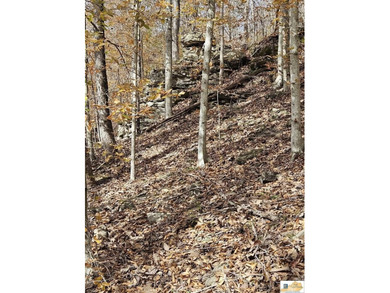 MOTIVATED!!! Make an offer!!! 19.29 Acres of Wooded Paradise - - photo 32
