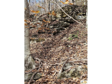 MOTIVATED!!! Make an offer!!! 19.29 Acres of Wooded Paradise - - photo 33