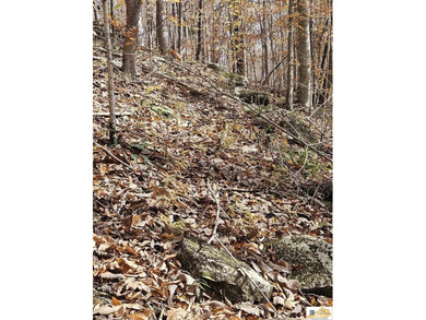 MOTIVATED!!! Make an offer!!! 19.29 Acres of Wooded Paradise - - photo 34