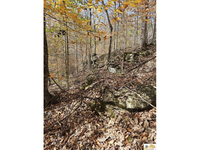 MOTIVATED!!! Make an offer!!! 19.29 Acres of Wooded Paradise - - photo 35