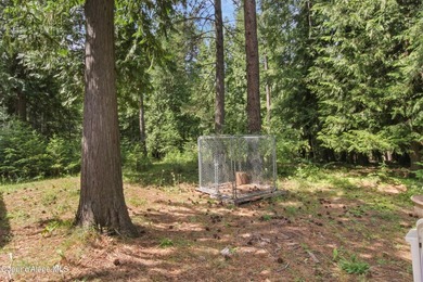 Discover your own private North Idaho retreat on 20+ acres in - photo 37