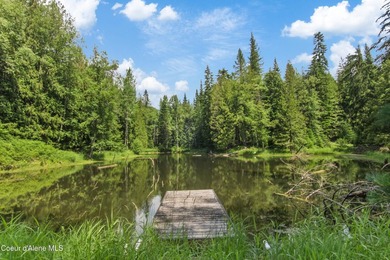 Discover your own private North Idaho retreat on 20+ acres in - photo 38
