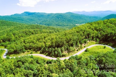 This pristine undeveloped, wooded and partly hilly 2.52-acre lot - Lake Acreage For Sale in Lake Lure, North Carolina