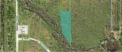This 3.40-acre vacant lot on Althea Drive, Florida, offers a