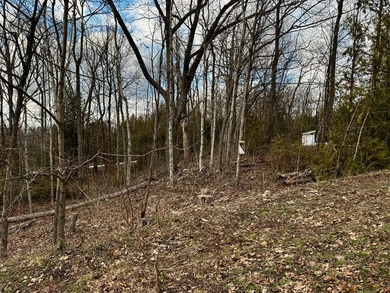 Welcome to lot 10 in highly desirable Liberty Park Bluff. The - photo 11