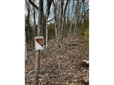 Welcome to lot 10 in highly desirable Liberty Park Bluff. The - photo 12