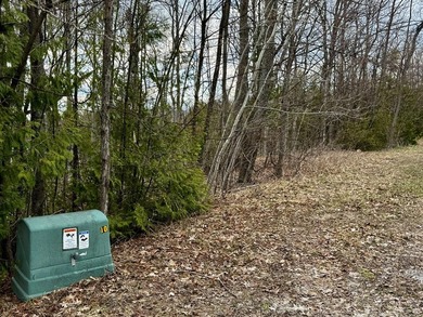 Welcome to lot 10 in highly desirable Liberty Park Bluff. The - photo 13