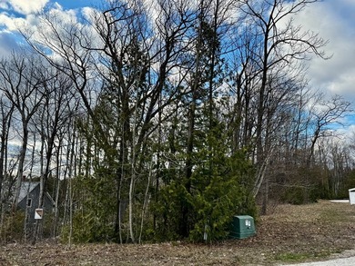 Welcome to lot 10 in highly desirable Liberty Park Bluff. The - photo 14