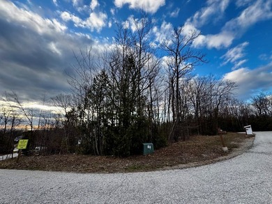 Welcome to lot 10 in highly desirable Liberty Park Bluff. The - photo 15