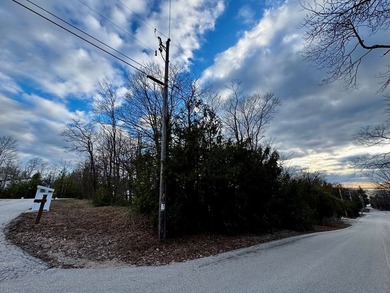 Welcome to lot 10 in highly desirable Liberty Park Bluff. The - photo 16