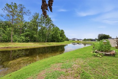 Welcome Home to More Space, a Lake view, and Major Updates in - photo 49